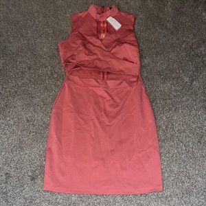 NWT Windsor Pink Dress